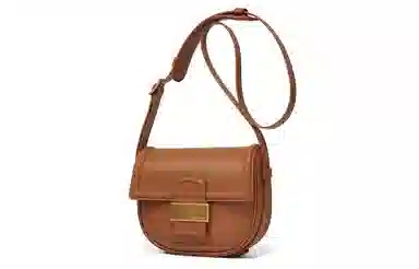 Charles & Keith Saddle Bag