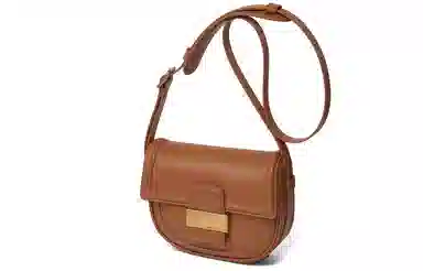 Charles & Keith Saddle Bag