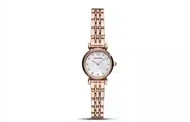 EMPORIO ARMANI GIANNI T-B 22mm AR11203