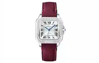 Cartier Santos W4SA0005