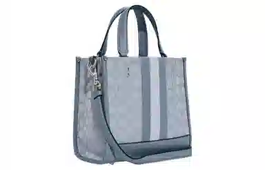 COACH Dempsey 22 Logo Tote