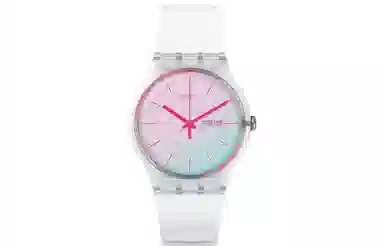 SWATCHORIGINALS 41mm SUOK713