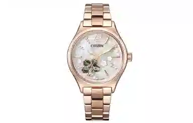 CITIZEN 34mm PC1018-69D
