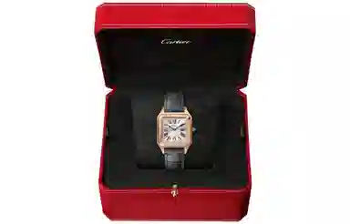 CARTIER 27.5*38mm 18K WGSA0022