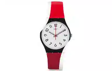 Swatch Gent GW208
