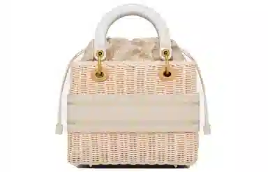 DIOR Lady Dior