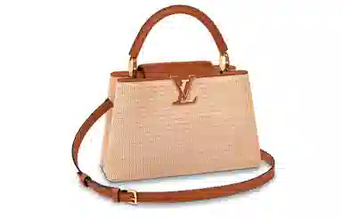 LOUIS VUITTON Summer Capucines