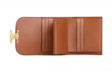 Celine Triomphe Canvas Wallet