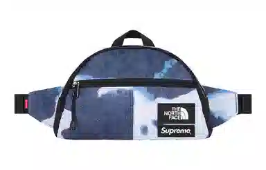 Supreme The North Face Logo