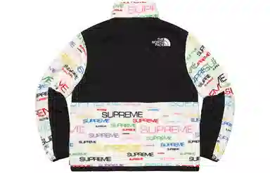 Supreme x The North Face Steep Tech Fleece Jacket