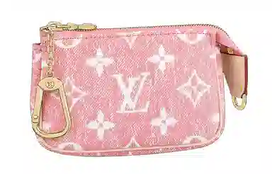 LOUIS VUITTON Pachette Accesories