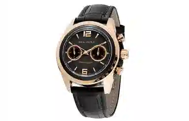 Sea-Gull 219.311-BLACK