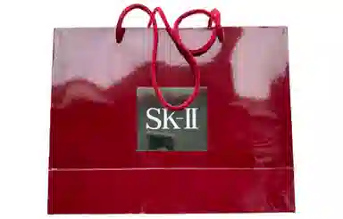SK-II 230ml+160ml