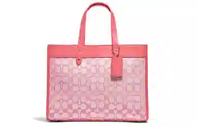 COACH Field 30 Tote