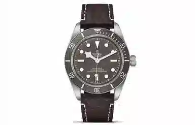 TUDOR 200 925 M79010SG-0001