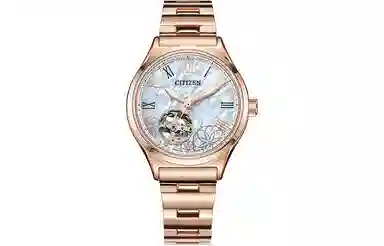 CITIZEN PC1007-81D