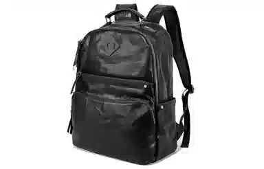 Ace Paul Backpack