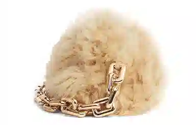 Bottega Veneta Chain Pouch Beige