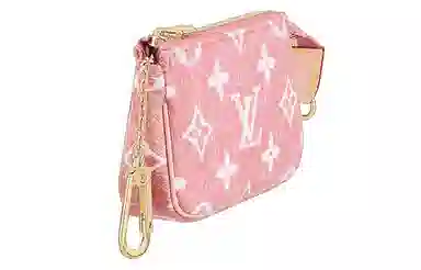 LOUIS VUITTON Pachette Accesories