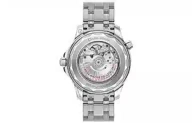 OMEGA Seamaster 210.30.42.20.06.001 Silver