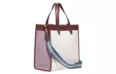COACH x Disney Field 30 Tote