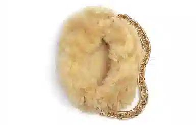 Bottega Veneta Chain Pouch Beige