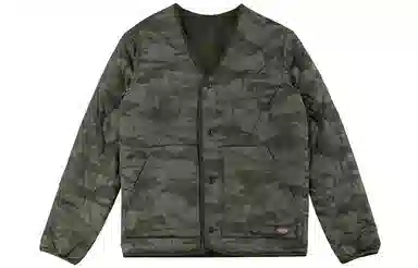 Dickies logo