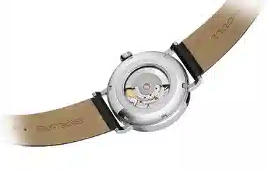 SEA GULL 819.17.6091