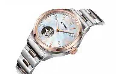 CITIZEN 34mm PC1009-51D