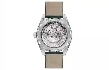 OMEGA AQUA TERRA 41mm 220.13.41.21.10.001