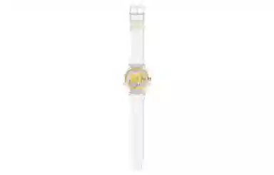 SWATCH 41mm SVIZ102