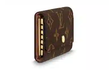 LOUIS VUITTON LV6