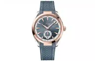 Omega Aqua Terra 220.22.41.21.03.001