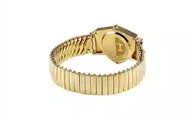 Hamilton Ventura H24301111