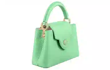 LOUIS VUITTON Capucines Taurillon