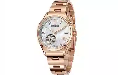 CITIZEN PC1007-81D