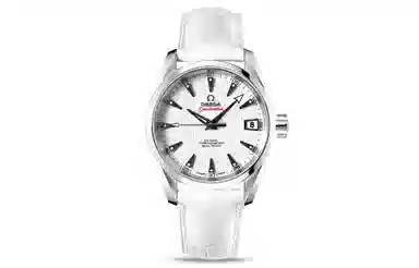 OMEGA Seamaster 231.13.39.21.54.001
