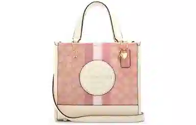 COACH Dempsey 22 Tote
