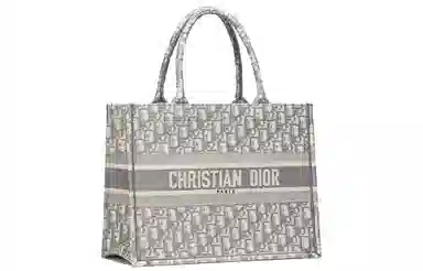 Dior Book Tote Grey