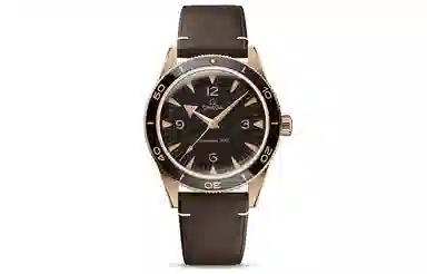 OMEGA 300 41mm 41mm 234.92.41.21.10.001