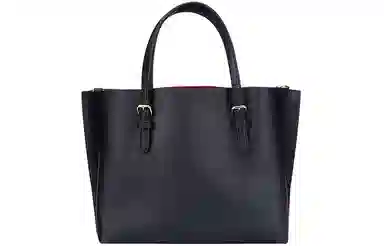 COACH Mollie 25 Tote