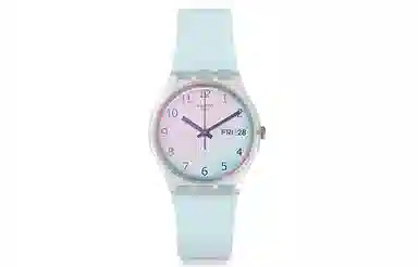 SWATCH GE713