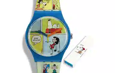 SWATCH 30 41mm SO29Z108