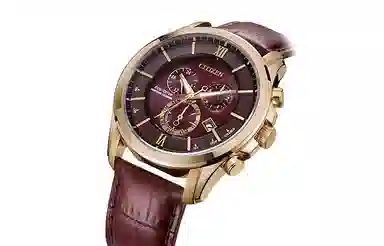 Citizen BL5548-19X