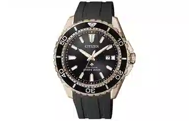 Citizen Promaster BN0193-17E