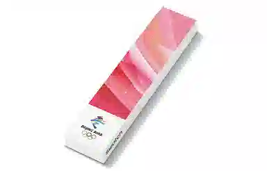 SWATCH 41mm SO29Z105