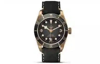 Tudor Black Bay M79250BA-0001