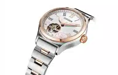 CITIZEN PC1008-89A