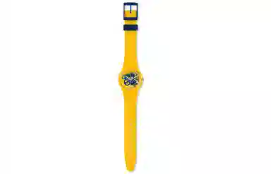 SWATCH 39.2*34mm GJ136