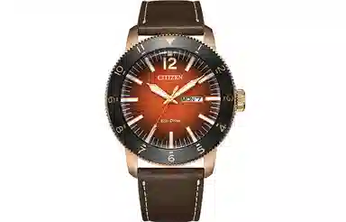 CITIZEN 44mm AW0079-13X